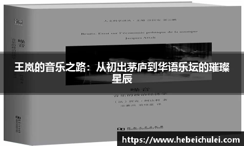 王岚的音乐之路：从初出茅庐到华语乐坛的璀璨星辰