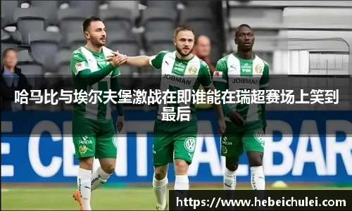 哈马比与埃尔夫堡激战在即谁能在瑞超赛场上笑到最后