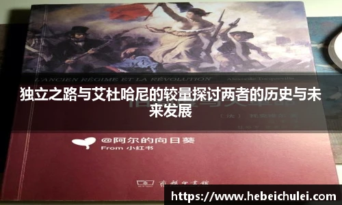 独立之路与艾杜哈尼的较量探讨两者的历史与未来发展